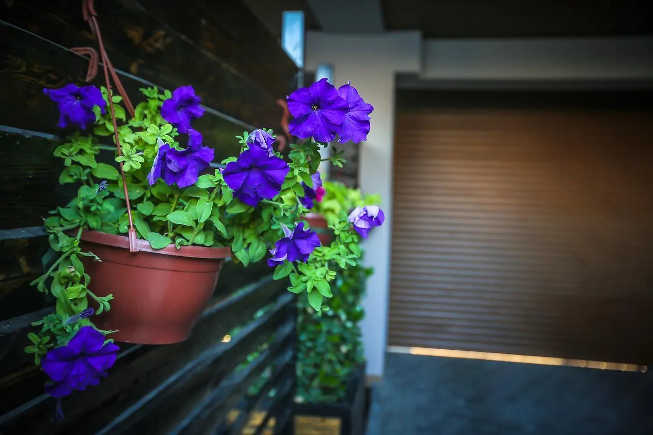 Armada Villa Hotel Баку